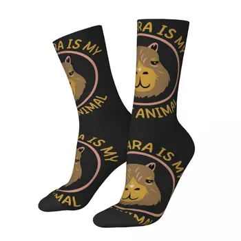Is My Spirit Animal Capybara, Gospodo zabavne čarape s po cijeloj površini Unisex, Novo, Casual Luda čarapa